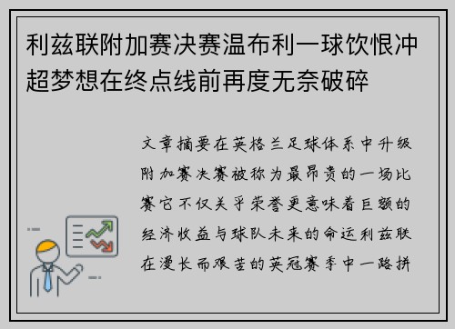 利兹联附加赛决赛温布利一球饮恨冲超梦想在终点线前再度无奈破碎
